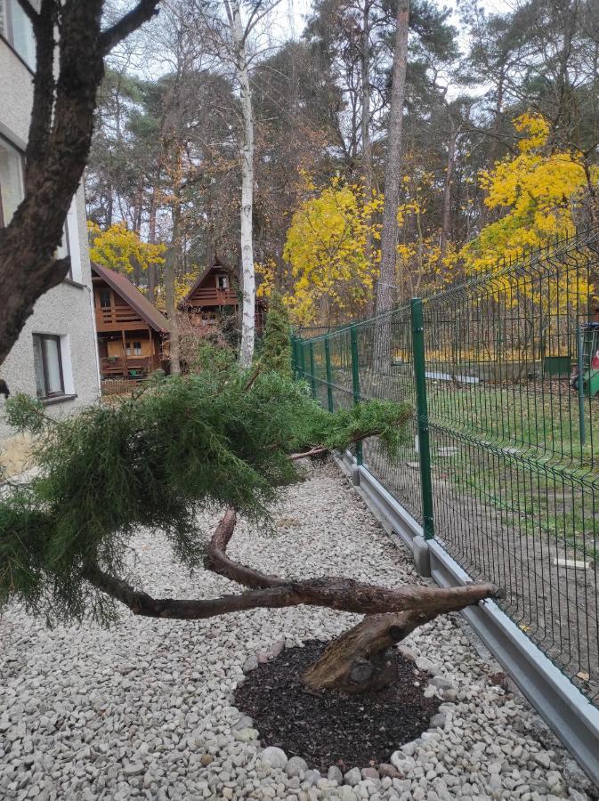 Chatki Saturnina I Pokoje Świnoujście Exterior foto